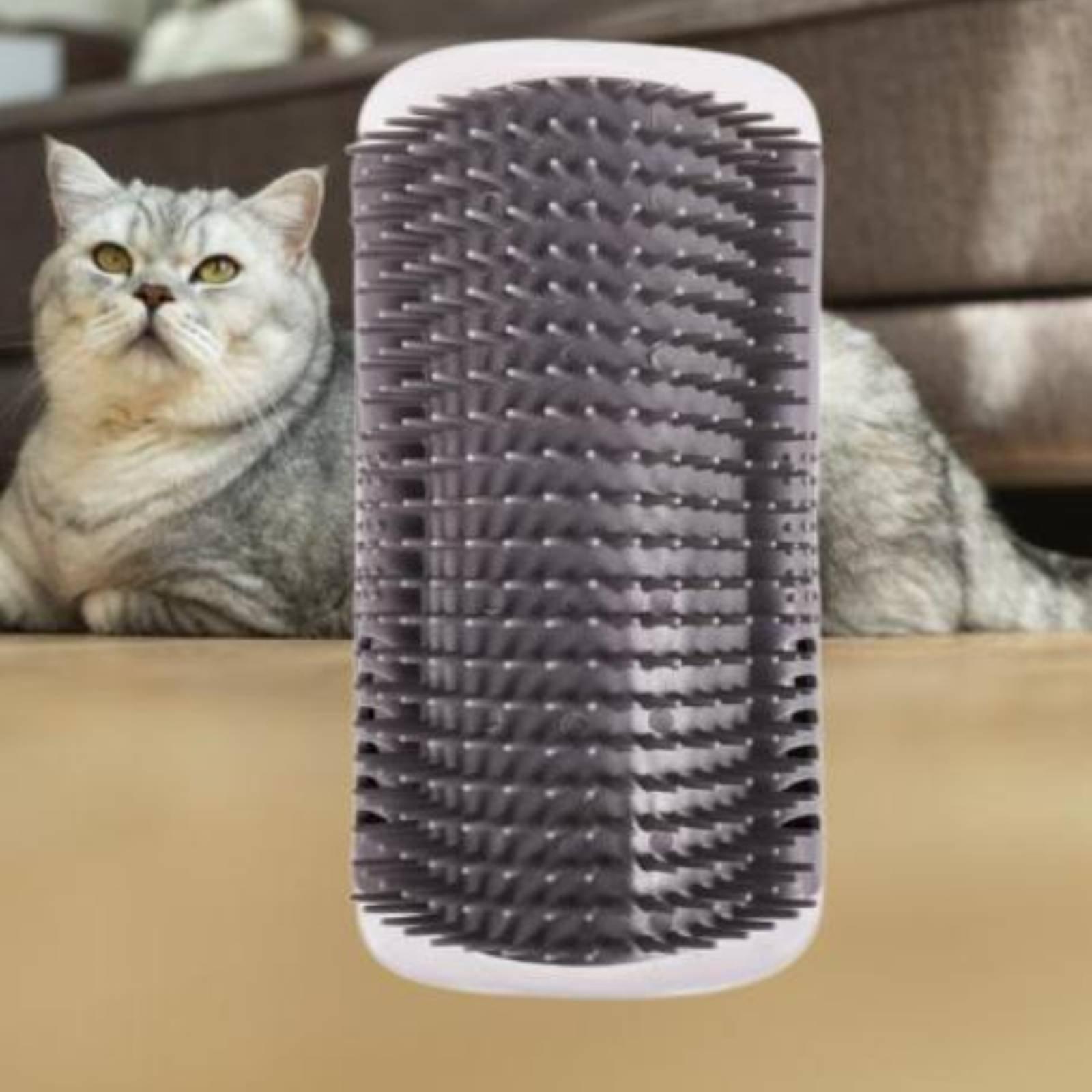 Katzenpflege-Gerät für Wandeck – Hair Care Is Self Care Bewertung und Preis