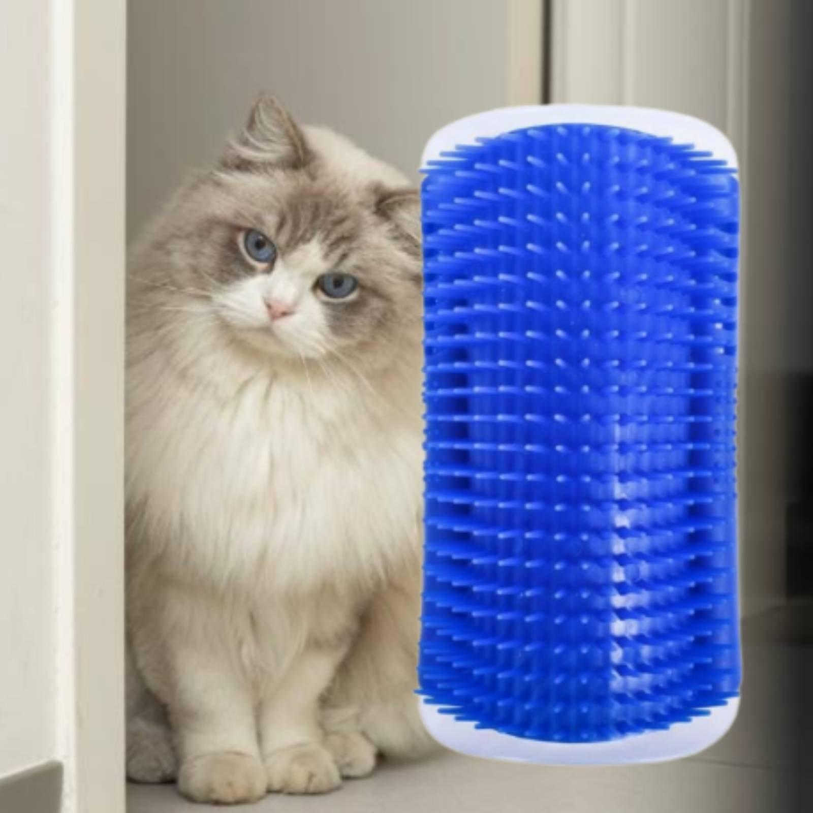 Katzenpflege-Gerät für Wandeck – Hair Care Is Self Care Bewertung und Preis